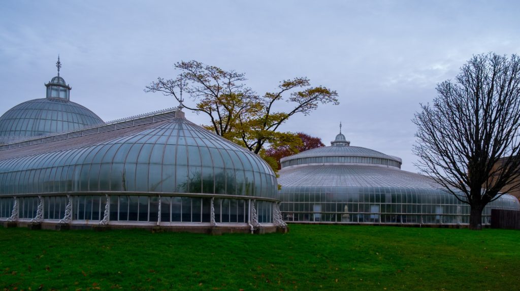 Ogród Botaniczny w Glasgow