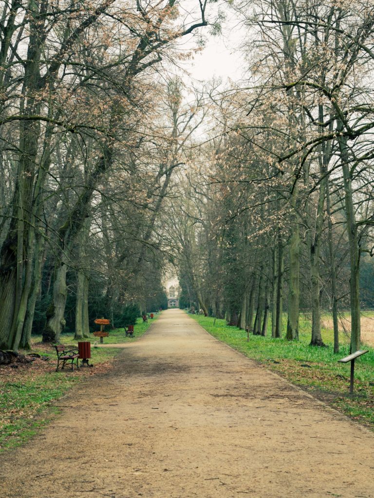 Ścieżki w Kórnickim Arboretum