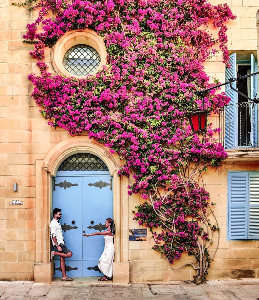 Kwitnące Bugenwile na Malcie