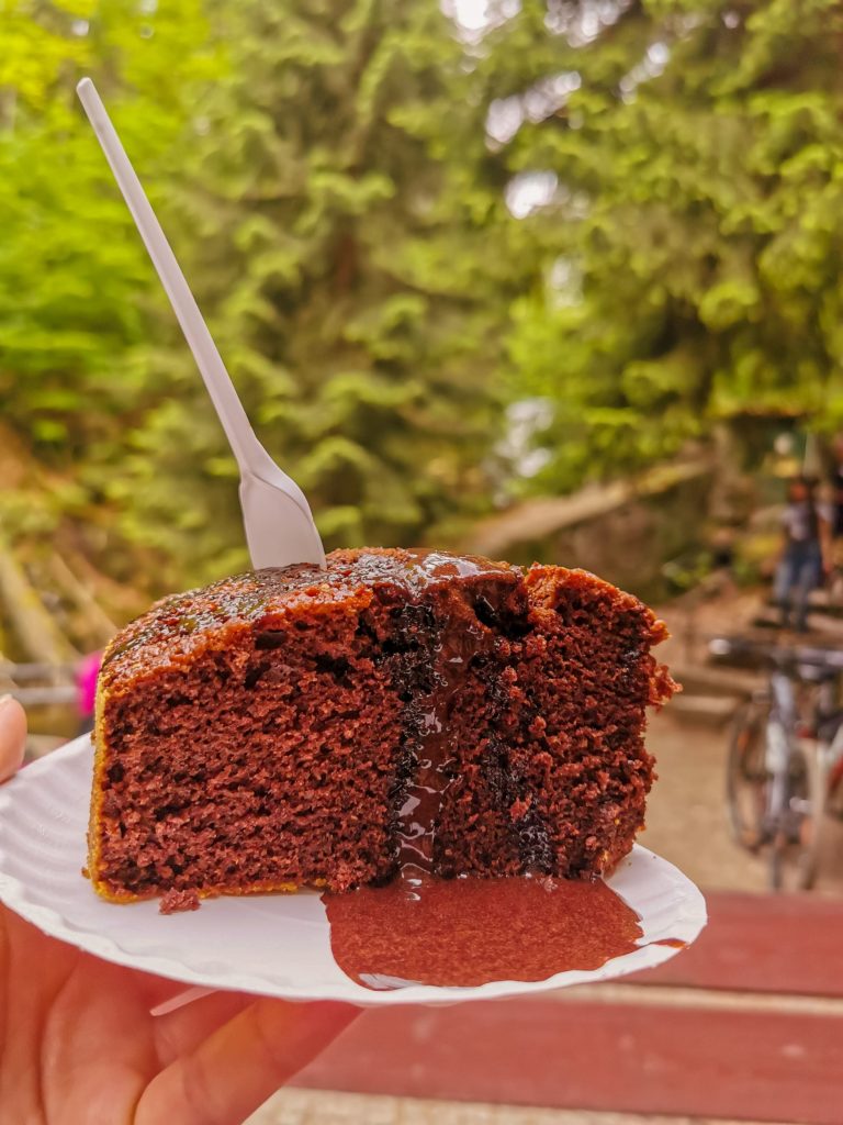 Ciasto czekoladowe schronisko Kochanówka