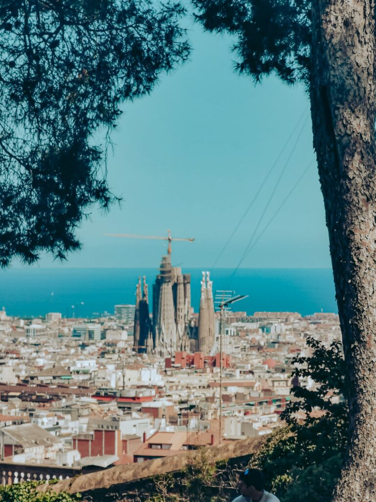 Barcelona widok z Parku Guell