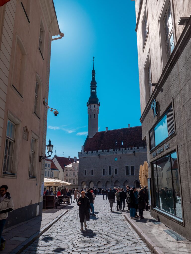 Stary Rynek w Tallinie ratusz