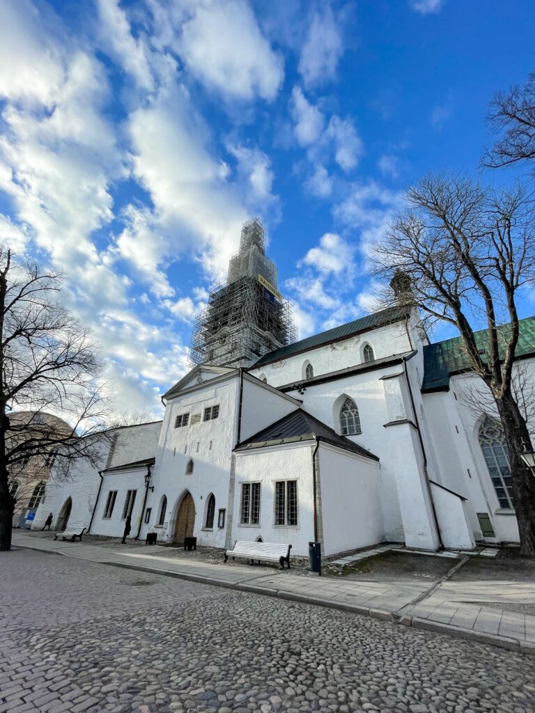 cathedral mary tallin